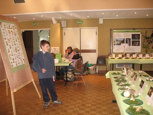 Expo champignons a St Leger 74